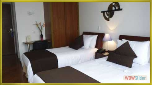 estandar twin 2