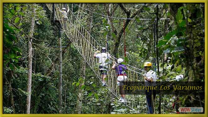 Ecoparque Los Yarumos Ecoparque Los Yarumos