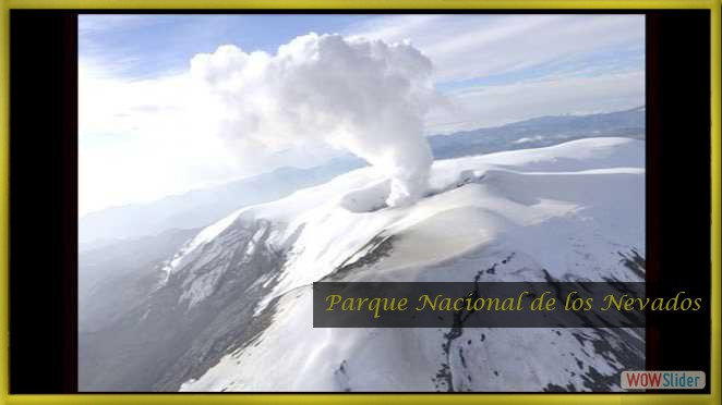Parque Nacional de los Nevados Parque Nacional de los Nevados